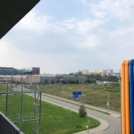 Violet * Brno