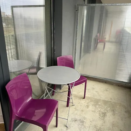 Violet * Brno
